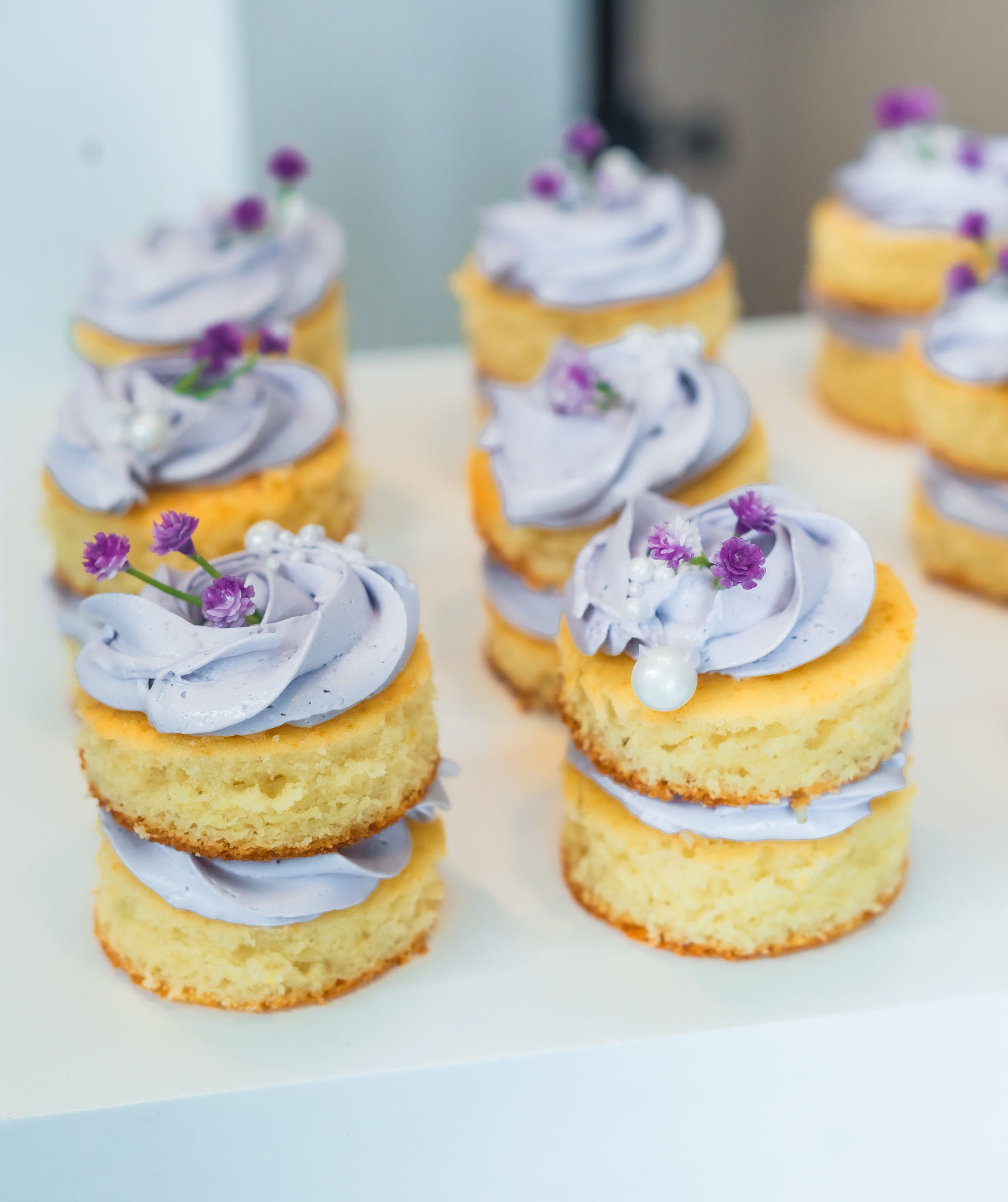 Birthday Celebration